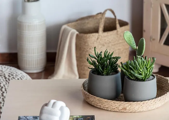 Seethesea * Kaligata