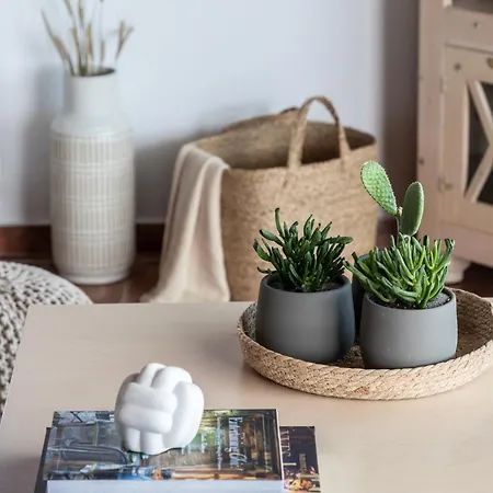 Seethesea * Kaligata